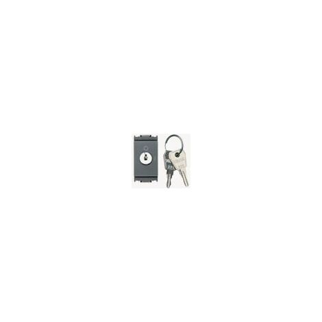 VIMAR - 16165.CU Interr. 2P 16(3)A +chiave unific. grigio