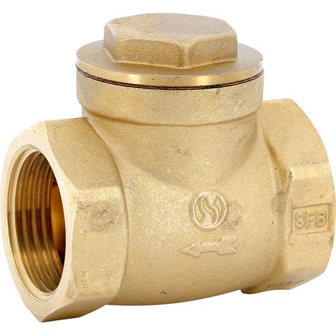 Clapet simple battant laiton femellle BSP à siège métal PN10 - Série 301 102x114