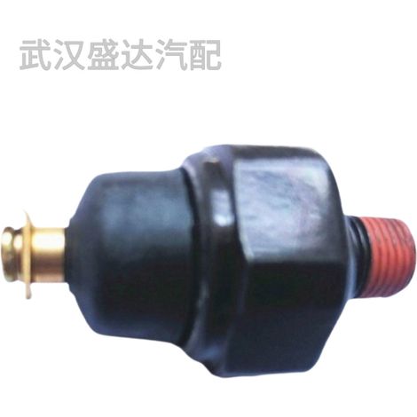 Les bouchons de capteur d'huile 9475042000 et 9475021000 conviennent aux Hyundai et Kia Terracan H100 et K2500. (1/5)
