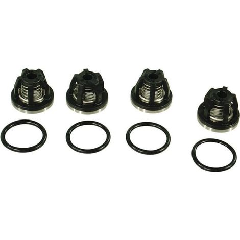 Set valvole 2 cilindri ANNOVI REVERBERI AR2364