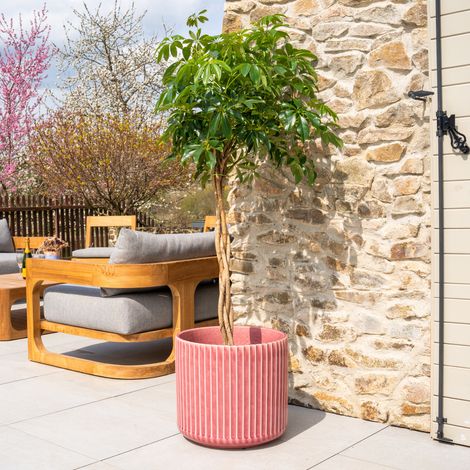 Vaso LONDON 42x39cm Rosa