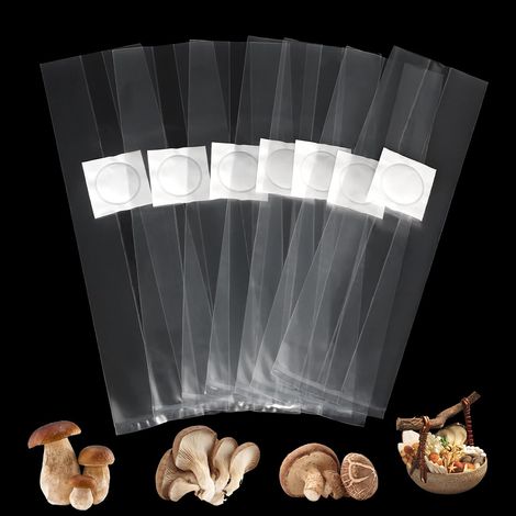 Packung mit 50 Pilzzuchtbeuteln – 25 x 50 cm – mit Filter – Pilzzuchtbeutel (1/5)