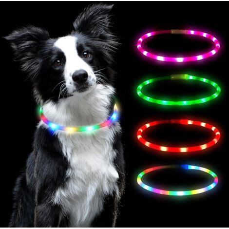 BUNTHAUS Collier lumineux LED pour chien, rechargeable par USB, résistant à l'eau, réfléchissant, lumière clignotante pour l'obscurité, peut être coupé à la taille désirée pour n'importe quel chien (1/5)