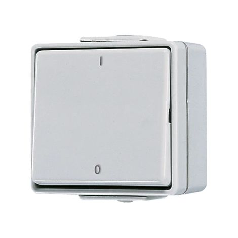 Jung Interruttore a levetta, Off bipolare, 10 AX 250 V , IP 44, WG 600 602 W
