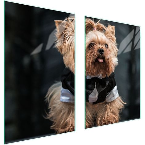 PLACA PROTECTORA DE VIDRIO PARA COCINA 65x52 PERRO (1/5)