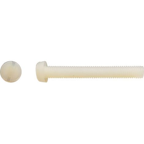 200 Vis Métaux Tête Cylindrique Fendue 5 x 30 mm - DIN 84 - Polyamide - D-Work