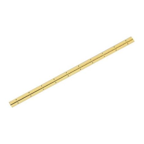 One Stop DIY Charnière pour piano en acier plaqué laiton 600 x 25 mm