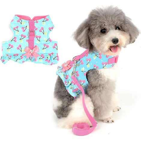 Robe-gilet pour petite chienne avec laisse anti-traction et joli nœud - Harnais rembourré en coton doux pour Chihuahua, Yorkshire Terrier et autres petites races (1/5)