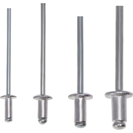 200 pièces ensemble de riveteuses robustes main 2.4/3.2/4.0/4.8mm Kit de rivets g-un outil d'assortiment de Rivets en aluminium pour véhicule en cuir métallique p-lastic (1/5)