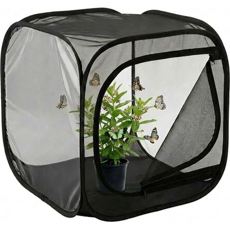 Cage de protection en maille pour plantes et élevage de papillons, cloche anti-insectes pour semis au potager, Composition : 30 × 30 × 30 cm, Couleur : noir (1/5)