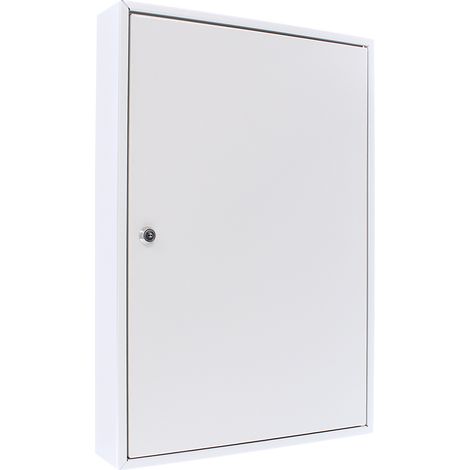 Armoire à clés S 50 H550xL380xP80mm 1 porte serrure cylindre nbr. crochets 50 ROTTNER (1/5)