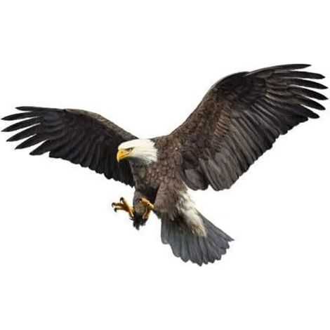 2 pegatinas de águila para coche, impermeables, para capó, de vinilo, para manualidades, para ventanas, parachoques, portátiles y paredes.