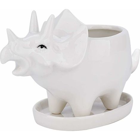 Succulent Pots with Drainage Tray 7 Inch Glazed White Ceramic Triceratops Pot for Indoor Succulent Planters Home Office Cactus Decor (1/5)