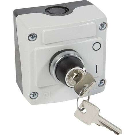 Legrand – Boîtier de protection pour prise électrique IP66 – Bouton tournant à clé 2 positions – Couvercle gris – Tension 120-690V AC, 24-230V DC (1/2)