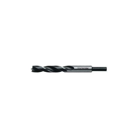 Foret hélicoïdal pour bois D.3,0mm Longueur totale 61mm Acier CV TECWERK (1/2)