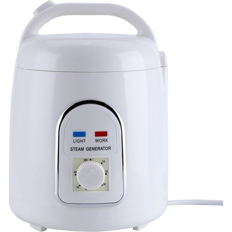 Tragbarer 1,8-Liter-Dampfgenerator für den Heim-Wellnessbereich, 220-V-Dampfgerät mit europäischem Stecker (1/3)