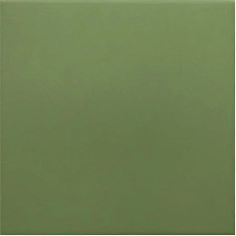 Carrelage Imitation Carreaux De Ciment 20x20 cm RIVOLI Green (1/4)