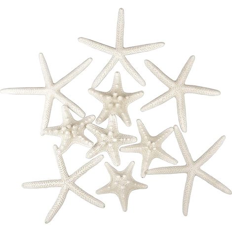 Lot de 12 étoiles de mer, naturelles, 5-15cm, mélange, décoration mariage, plage, maison (1/5)