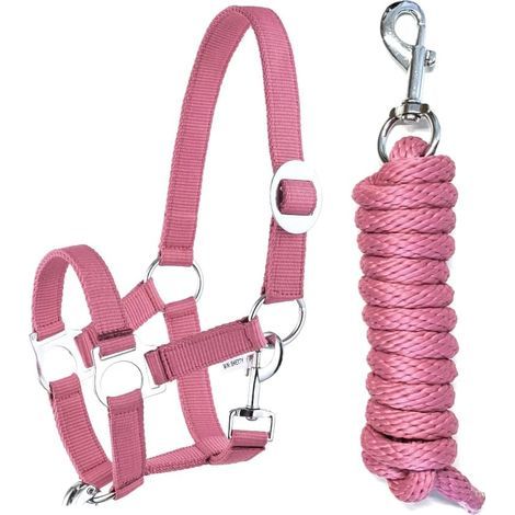 Set verstellbares Nylon-Pferdehalfter mit Karabinerhaken und 2 m Führstrick für Reiten und Ponys (1/3)