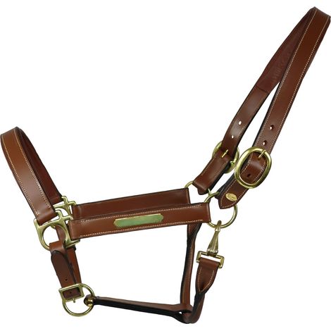 EQuest Lederhalfter Inscribe für Pferde, unterlegt - cognac, S - Pony