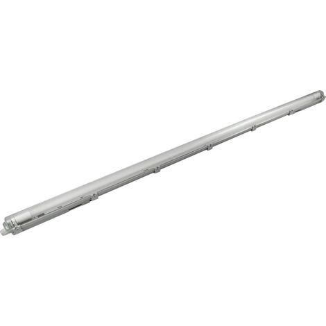 Luminaire TrendLine résistant à l'humidité, 1 lumière, gris, 159 cm, blanc neutre