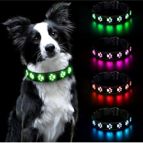 Collier lumineux pour chiens – Rechargeable et étanche – Visibilité 500m – Nylon et cuir PU – Taille S (30-40 cm) – Modes d'éclairage 6 couleurs (1/5)