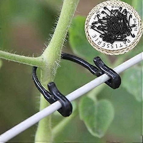 100 attaches à boucle pour vignes, crochets de greffage pour plantes et légumes, accessoires pour serres agricoles (1/5)
