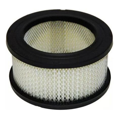 Filtre à air Tecumseh 36046 compatible avec les filtres à air pour petits moteurs 740061, OH95 et OHH45-50.