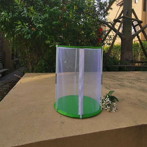 cage d'élevage de papillons cylindrique, cage d'observation d'insectes, cage en filet transparent, cage ornementale (1/5)