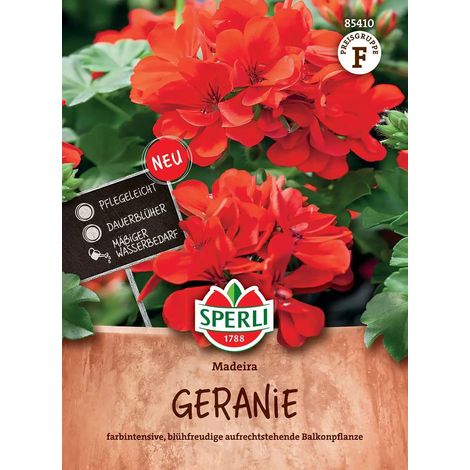 Sperli Geranien - Pelargonien Madeira rot stehend - Blumensamen (1/2)