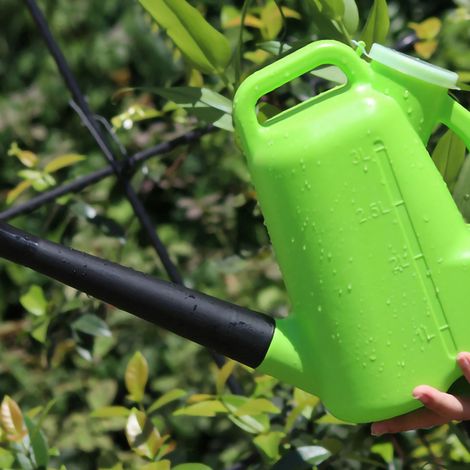 Arrosoir à long bec verseur avec couvercle, 3 L, en plastique vert, pour plantes et fleurs de jardin. (1/5)