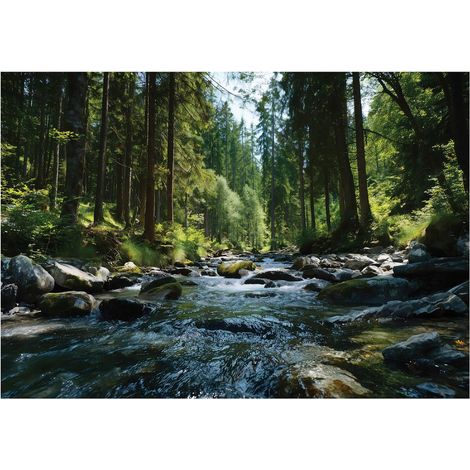 Fototapete Wald Fluss Landschaft – Moderne Großformat Wandtapete 150x105 cm – Für Wohnzimmer & Schlafzimmer