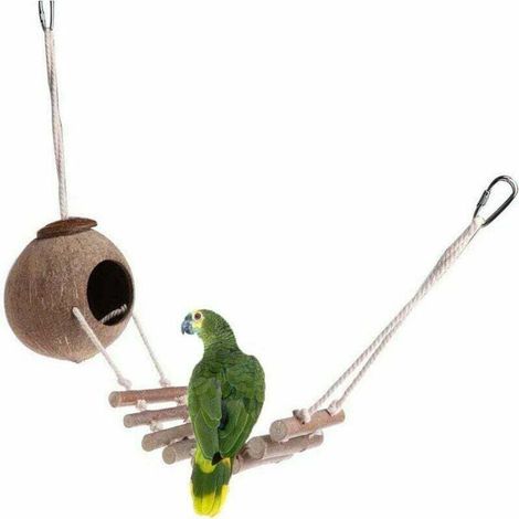 Liquidation totale Nid d'oiseau de noix de coco naturel Cage d'oiseau de noix de coco Nid d'oiseau naturel avec échelle Volière de noix de coco Perroquet Swin (1/4)