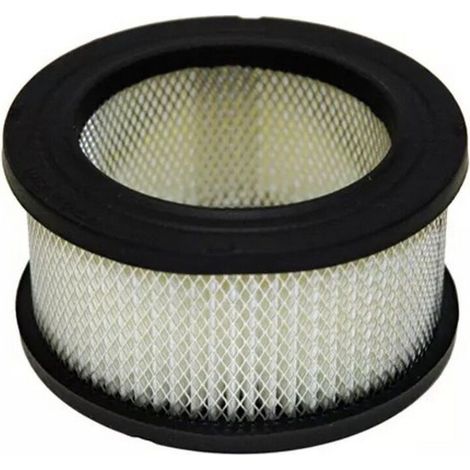Filtre à air Tecumseh 31925 Compatible avec KOHLER 231847S et JOHN DEERE AM-30800 - Filtre à air moteur haute efficacité