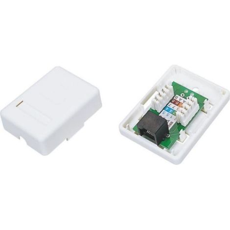 Câble RJ45 - Connecteur Femelle Droit - Pour Connexion Réseau - Blanc - Plastique - 1 Pièce
