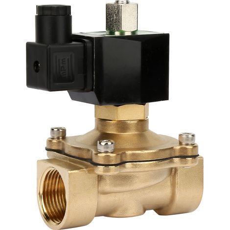 Vanne Électromagnétique Laiton DN25 NC 12V CC pour Contrôle de Fluide G1" (1/5)