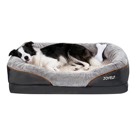 lit de Chien orthopédique Grand lit pour Animal de Compagnie en Mousse à mémoire avec Housse Lavable Amovible et Jouet grinçant (1/5)