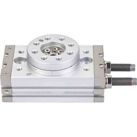 Vérin pneumatique rotatif à 180 degrés MSQB-20R avec tampon (1/5)