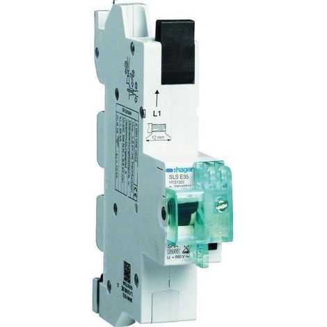 Hager SLS-Schalter 1P E-35A,für SS HTS135E (1/5)