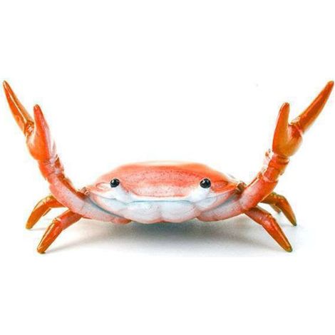 Creative mignon crabe porte-stylo haltérophilie crabe porte-stylo support support de rangement cadeau papeterie(rouge)