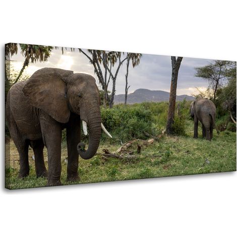 Leinwanddruck Tiere Elefanten Savanne 80x40 cm