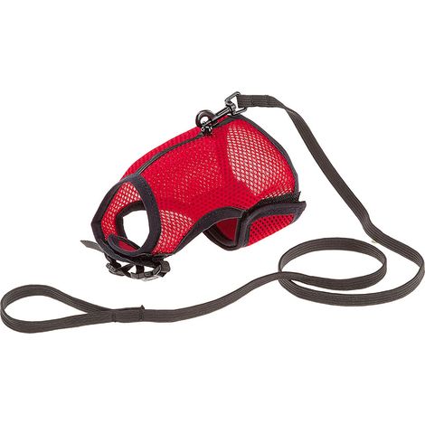 Ferplast JOGGING XL Pettorina in nylon per gatti con guinzaglio . Variante JOGGING XL - Misure: A: 24-28 cm B: 30-38 cm 10 mm - Colori misti (1/5)