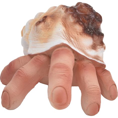 Witzige Harzskulptur in Form eines Muschelfingers (1/4)