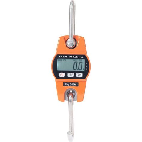 SABIR Peson Electronique 300kg Balance Crochet Suspendu Dynamomètre LCD Crochet Peseur Industrielle Pèse Poids 300kg/600lbs (1/5)