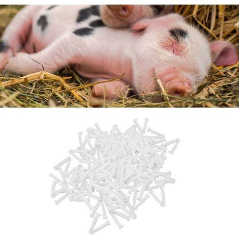 100 pinces ombilicales blanches en plastique pour porcelets, avec 1 pince hémostatique. (1/5)