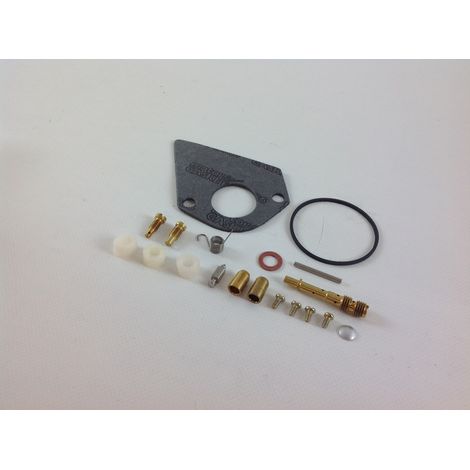 Rasentraktor Dichtungssatz BRIGGS & STRATTON kompatibel 497481
