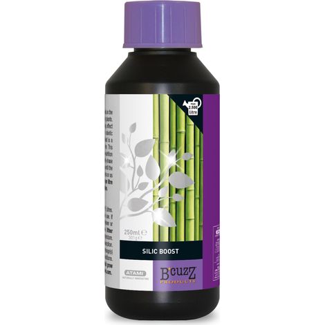 SILIC Boost 250ml - B'CUZZ