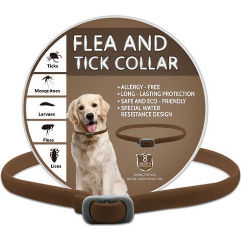 Collier anti puces anti tiques réglable imperméable naturel sûr protection 8 mois 65cm toutes tailles chiens marron (1/5)