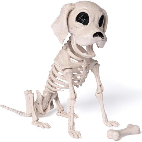 JOYIN Posable Halloween Hund Skelett Gelenke Skelett Welpe Deko 24.8 x 32 x (1/5)