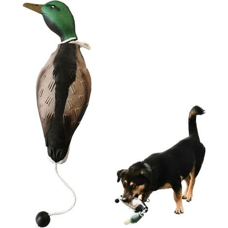 Dog Training Duck Dummy- EVA Material Trainer avec bascule de lancement, jouets de formation de récupération de chien Bird Dummy Mallard Mimics Duck Bumper Toy (1/5)